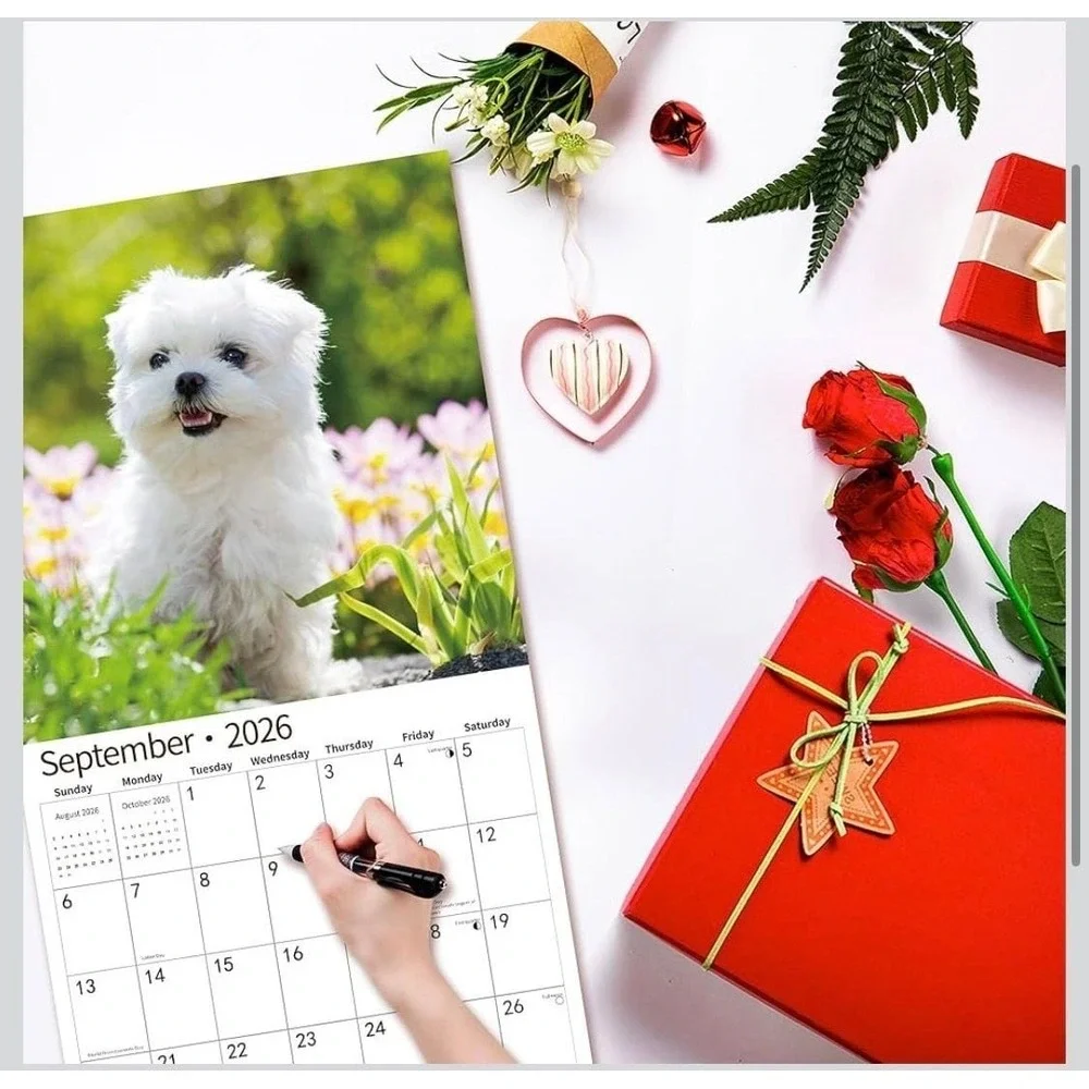 2026 Maltese Wall Calendar, 18-Month (July 2025 - December 2026) Dog‎ Breed